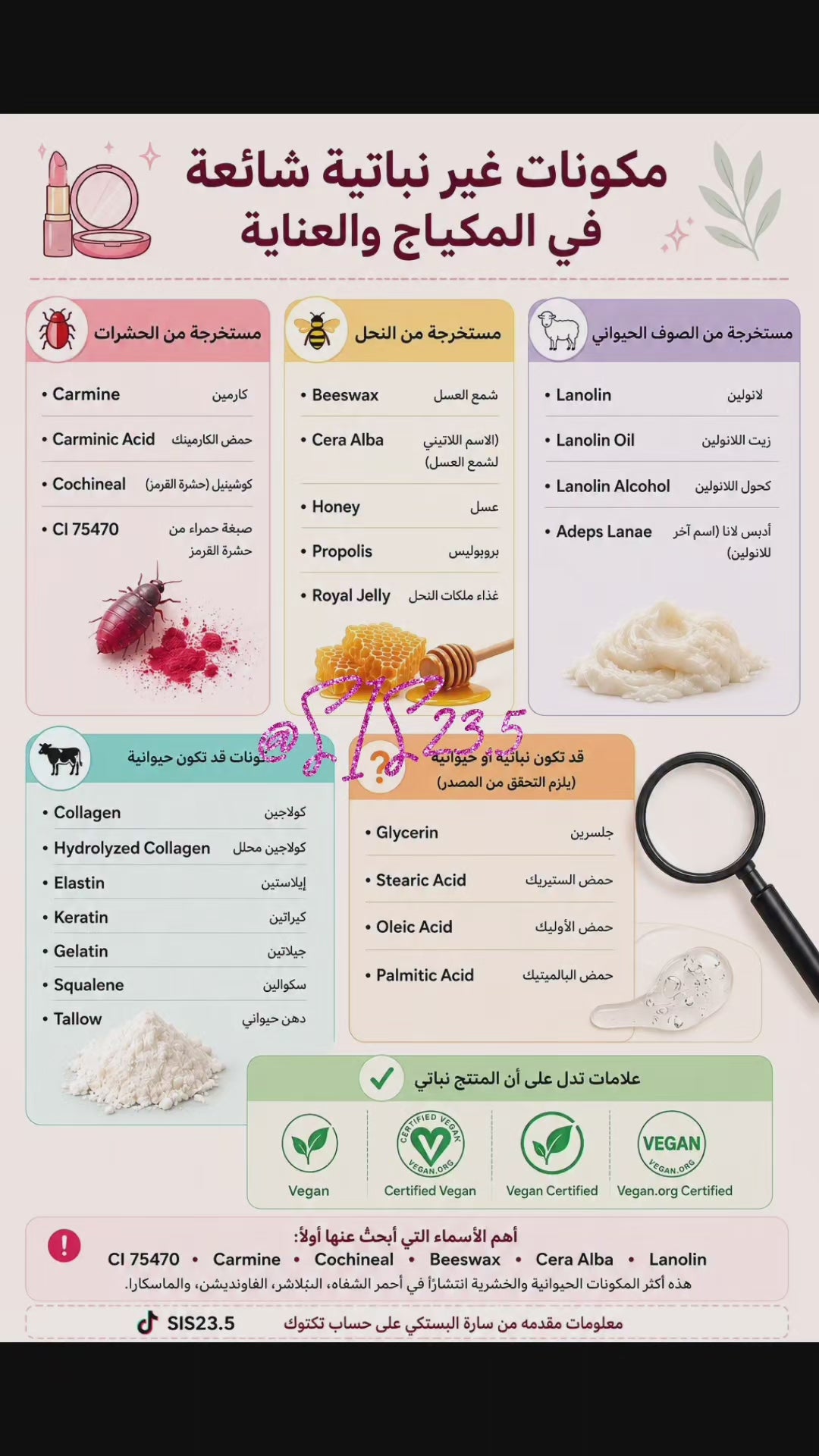Eyeshadow Matte Pearlescent Glitter Waterproof