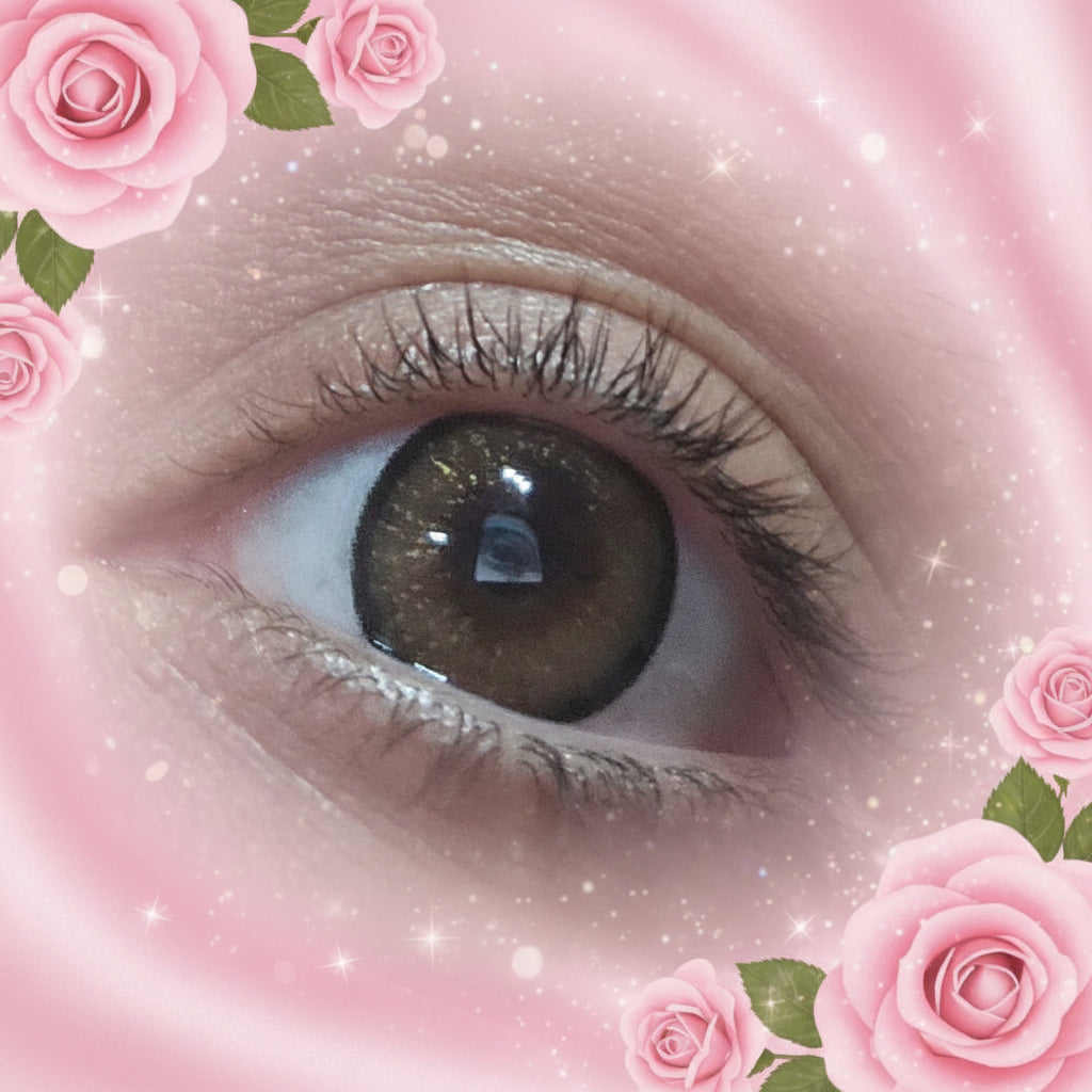 Contact Lenses