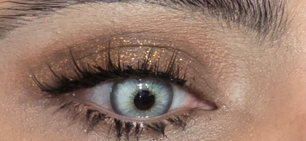 Contact Lenses